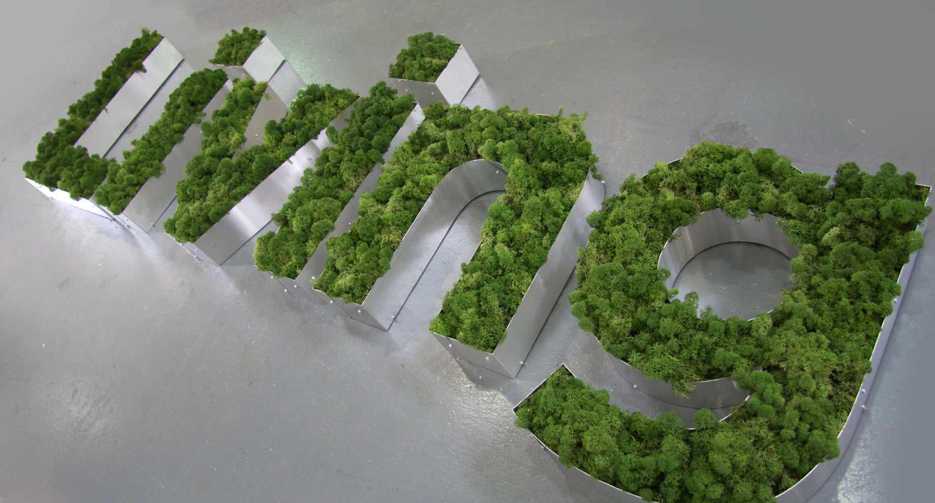 Moss Letters